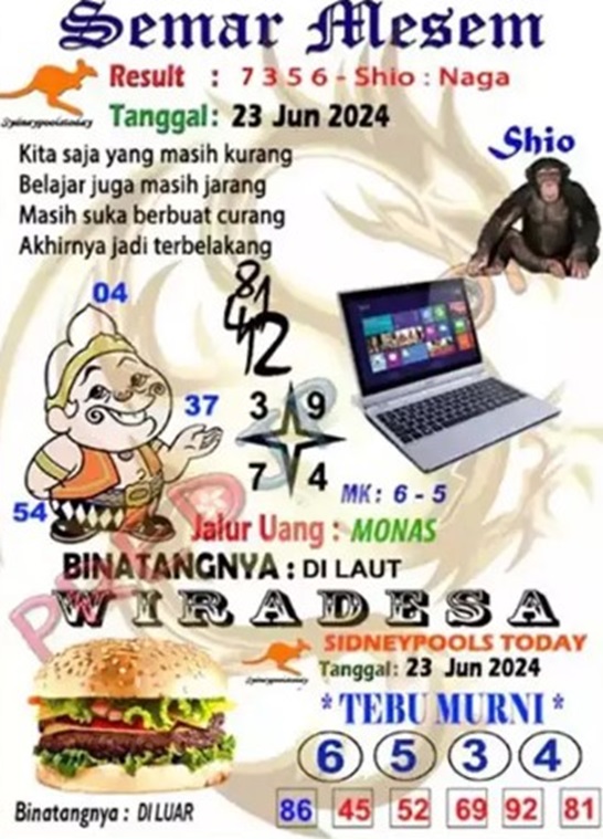SYAIR SDY VIP